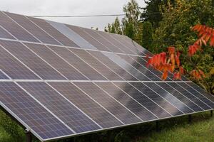 Rows of solar panels are positioned in a vibrant garden, soaking up sunlight under a cloudy sky, showcasing a commitment to sustainable energy practices photo