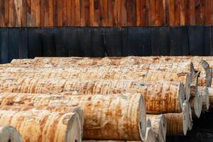 A collection of freshly cut logs rests in orderly rows at a sawmill, showcasing their natural grain and texture against a backdrop of weathered wood in the overcast light photo