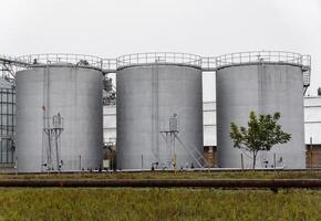 Three tall fuel storage silos dominate the landscape, surrounded by greenery, as they prepare to store essential resources in an industrial area, highlighting function and form photo