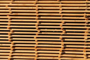 A collection of wooden pallets rests in a well-lit warehouse, their smooth surfaces reflecting the warm afternoon sunlight, creating a beautiful pattern photo