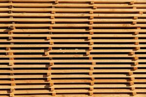 Sunlight casts intricate shadows as wooden slats form a striking pattern, showcasing the beauty of natural materials in an outdoor setting photo