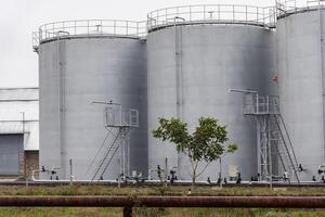 Large fuel storage tanks are positioned at an industrial site with a lone tree nearby, showcasing the contrast between infrastructure and nature on an overcast day photo
