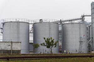 The towering silo tanks stand prominently at a grain elevator site, ready to support the harvest of crops. They are essential for storing grain after harvest operations photo