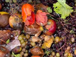 An assortment of overripe and rotting fruits and vegetables lies strewn on the ground, emphasizing nature's process of decay and waste photo