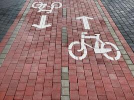 A red brick bike lane features clear directional signs for cyclists, ensuring safe and organized travel along the path in bright daylight photo