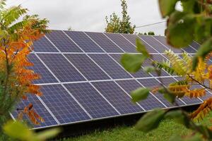 This setup features solar panels nestled among vibrant greenery, taking advantage of available sunlight despite the overcast conditions photo