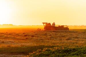 An agricultural harvester efficiently gathers crops in a vast field during sunset, casting a warm glow over the surrounding landscape. The machinery stands out against the horizon photo