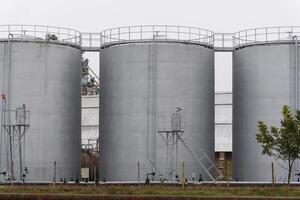 The agro-processing plant features several large silos designed to efficiently store harvested grains, reflecting modern agricultural practices in a rural setting photo