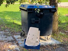 A black trash can is positioned on the sidewalk next to a tree, with a cardboard box and a blue basket placed on the ground nearby. The park environment indicates daytime photo