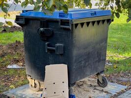 A large, black trash can with a blue lid and wheels is positioned on the edge of a paved street. Grass and fallen leaves are visible in the background photo