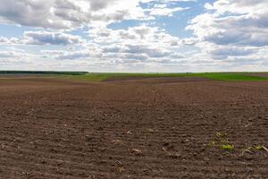 A vast plowed agricultural field stretches towards the horizon, bordered by lush green areas, while the sky features soft, white clouds and a vibrant blue backdrop photo