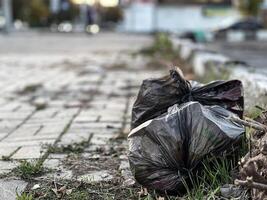 Two plastic bags are laying on the ground, one of which is partially covered by grass. The scene is somewhat bleak and unkempt, with the bags and grass creating a sense of neglect and abandonment photo