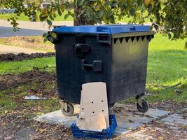 A sturdy recycling bin stands prominently next to scattered cardboard, while sunlight filters through the nearby tree, highlighting urban waste management efforts photo