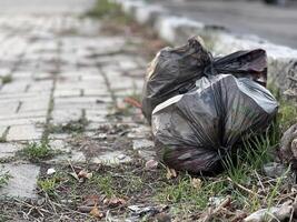 Two full black garbage bags are resting on the edge of a concrete sidewalk. The bags are partially concealed by overgrown grass. The pavement is worn and cracked, showing the passage of time photo