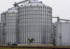 In an agricultural setting, towering metal silos stand beneath a blanket of clouds. The structures are essential for grain storage, highlighting the efficiency of modern farming photo