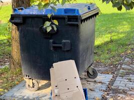 A black and blue garbage bin sits on a pathway next to a tree. A cardboard box leans against it photo
