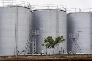 Towering gray silos stand in a row, equipped with ladders and pipes, while a lone tree adds a touch of nature beside the industrial structure photo