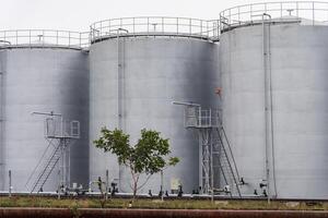 Three large, gray storage tanks, with metal catwalks and ladders, stand against a pale sky. A small tree grows in the foreground, its branches reaching towards the tanks photo