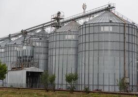 The image showcases several large metallic grain silos situated at an agricultural facility. The overcast sky casts a neutral tone over the industrial landscape, framed by greenery photo