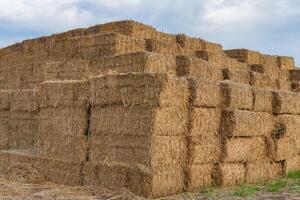 Neatly stacked hay bales create a substantial structure in a rural landscape, showcasing agricultural life under a partly cloudy sky in the late afternoon photo