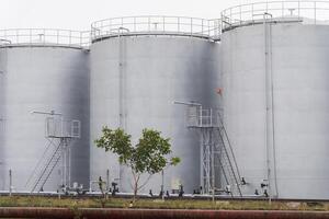 A series of large industrial storage tanks with ladders and piping positioned beside each other, highlighting their significance in manufacturing processes photo