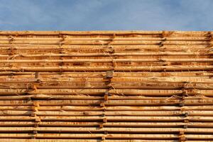 Freshly cut timber logs are stacked neatly at a lumber yard, allowing them to dry under a bright blue sky. The wooden structure showcases careful organization and preparation photo