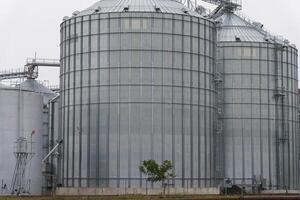 The structure features several tall, cylindrical silos made of metal, designed for storing grain. They stand in a rural farming area during cloudy weather photo