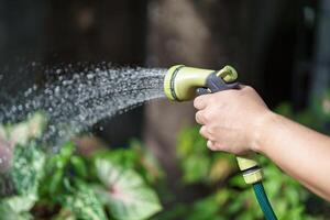 a man is watering a plant with a hose. photo