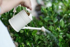 a man is watering a plant with a watering can photo