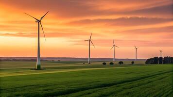 Wind turbines in a field at sunset photo