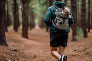 A man with a dog in a backpack walking through the woods photo