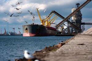 A large ship in the water photo