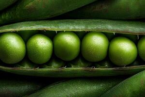 A close up of peas in a pod photo