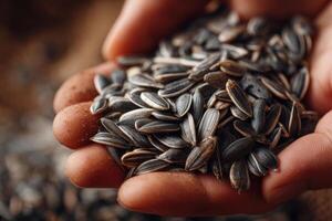 A person holding a handful of sunflower seeds photo