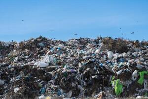 Vast Garbage Landfill with Flying Birds Against Clear Blue Sky Showing Overconsumption Issues and Environmental Concerns photo