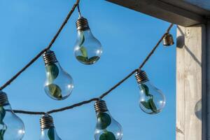 Unique string lights featuring greenery inside bulbs, suspended against a bright blue sky, create a serene atmosphere photo
