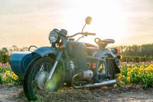 Classic teal motorcycle with sidecar parked within field featuring spring tulips during sunset providing scenic rural lifestyle photo
