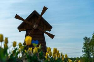 Windmill stands behind yellow tulips with a blue and yellow heart on the side against the sky. photo