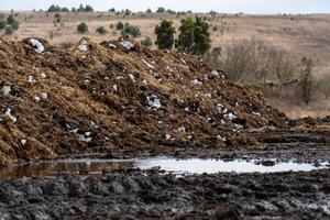 Large manure pile with snow and muddy ground, farm field in the background, agriculture and farming concept photo