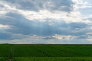 Sunlight beams softly illuminate vibrant green fields under a vast sky filled with clouds, creating a serene and picturesque landscape in the afternoon photo
