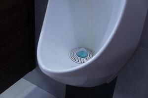 A well-maintained restroom fixture showcases a modern design, featuring a urinal with a blue deodorizing disk placed in its drain area photo