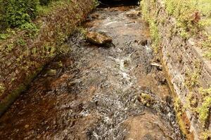 A narrow stream with clear, fast-flowing water winds through a stone-walled channel surrounded by lush greenery. The natural moss and plants add texture and a sense of tranquility to the scene. photo
