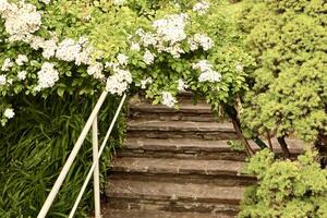 A picturesque garden staircase made of natural stone leads upward photo