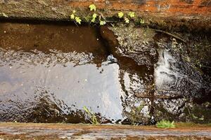 A small narrow canal with brown water flowing between mossy, weathered stone walls. Green plants grow along the edge, and foam appears where water enters. photo