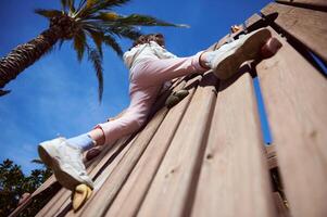 Child Climbing a Wooden Play Structure with a Blue Sky and Palm Tree in the Background photo