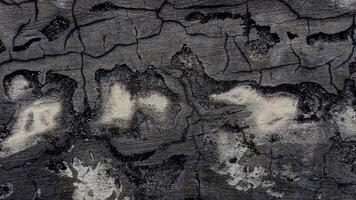 Abstract Texture Cracked Surface with Light Patches photo