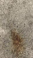 Textured Concrete Surface with Brown Stain and Aggregate photo