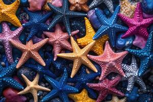 Colorful starfish creating vibrant pattern on dark pebbles photo