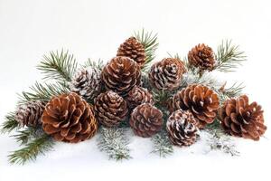Pine cones and pine branches covered with snow on white background photo