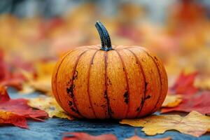 Ripe pumpkin sitting on colorful autumn leaves photo